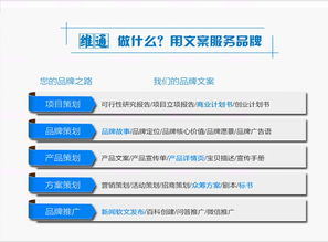 创业融资实务指南 从商业计划书到项目落地